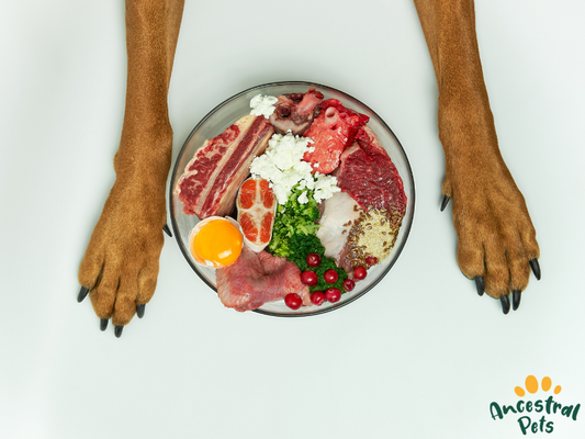 What Is Ancestral Feeding for Pets? A Guide to Species-Appropriate Diets