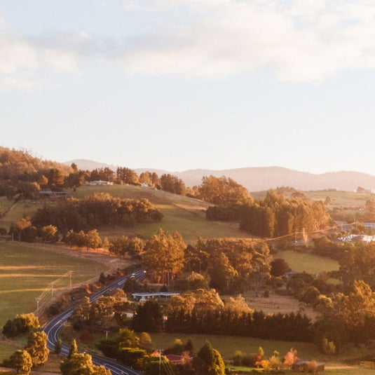 Hilly landscape with trees and a road at sunset