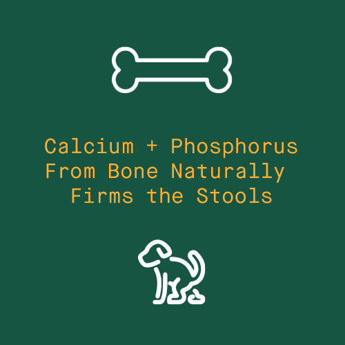 Perfect Poop Anal Gland Support