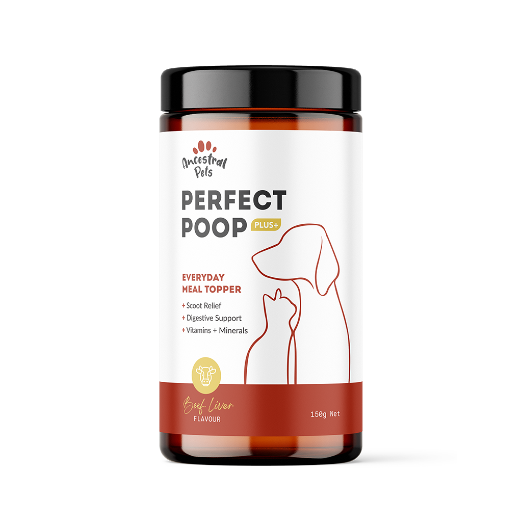 Anal Gland Support for Dogs & Cats