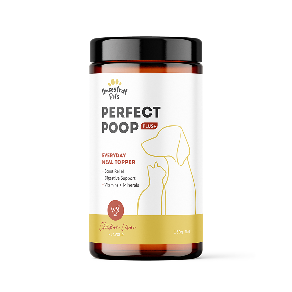 Anal Gland Support for Dogs & Cats