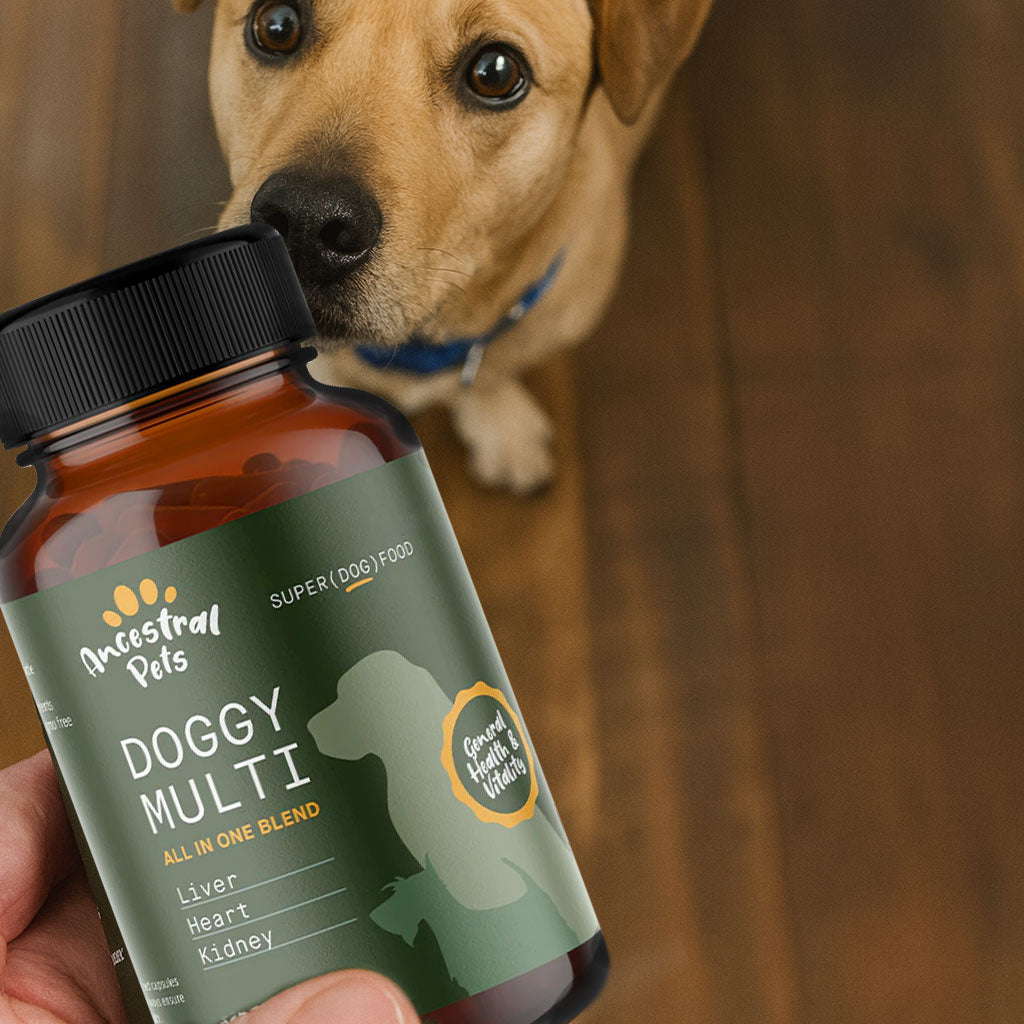 Doggy Multi supplement bottle held by a person with a dog in the background