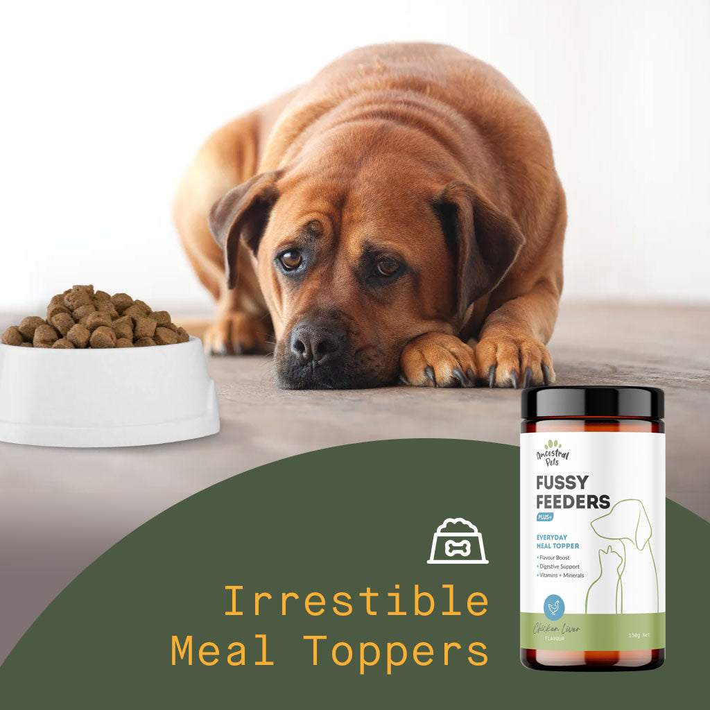 Fussy Feeders - Meal Topper