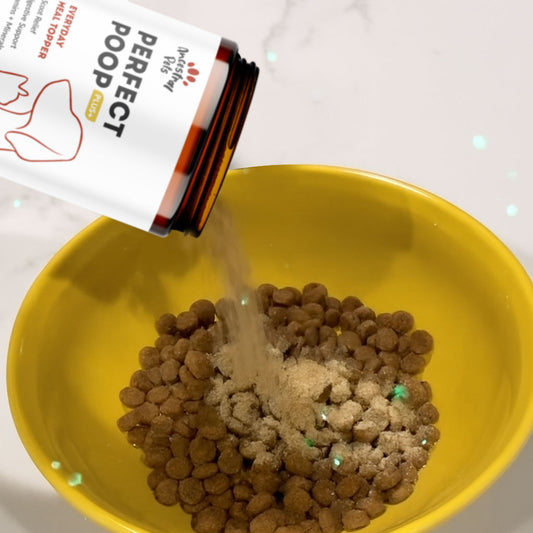 Anal Gland Support for Dogs & Cats