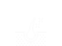 diagram of a hair follicle for itchy dogs skin