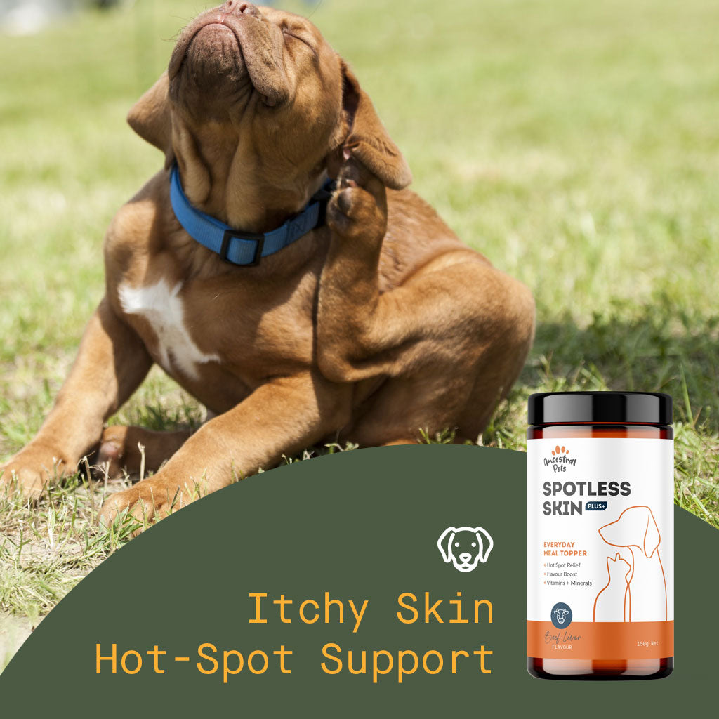 Spotless Skin - Hotspot & Itchy Skin