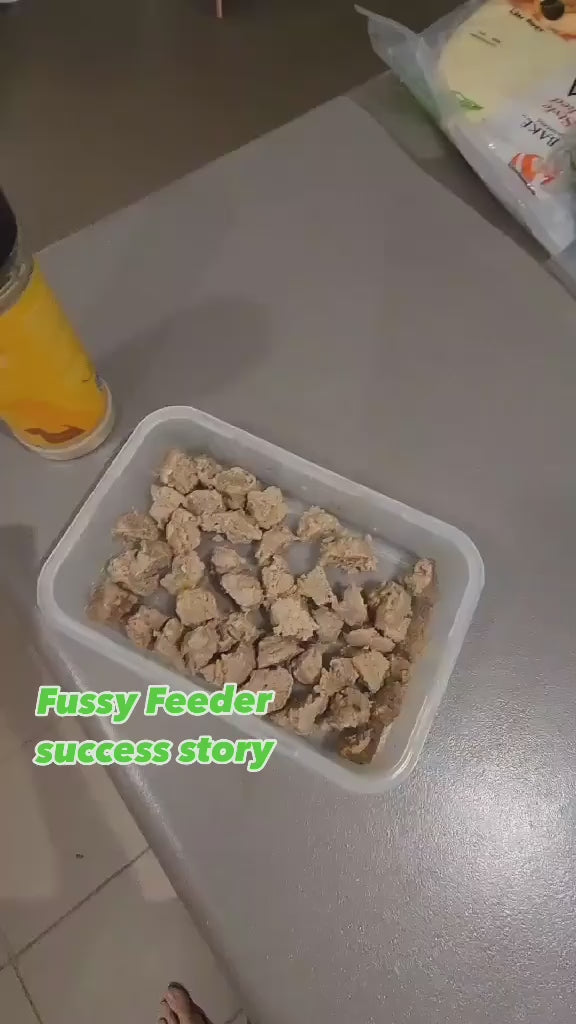 Load video: 