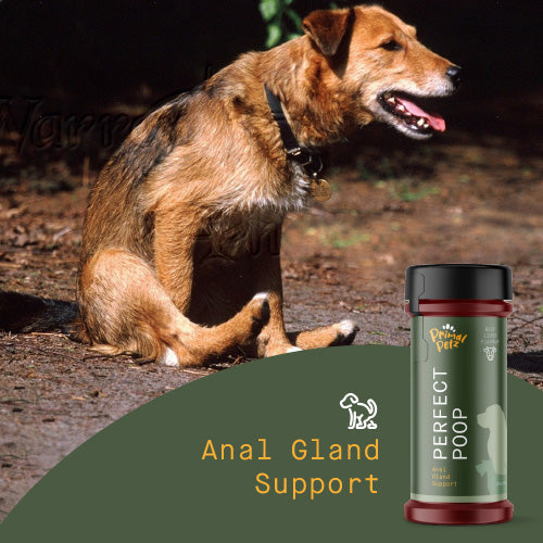 Beef Liver Anti Scoot Meal Topper