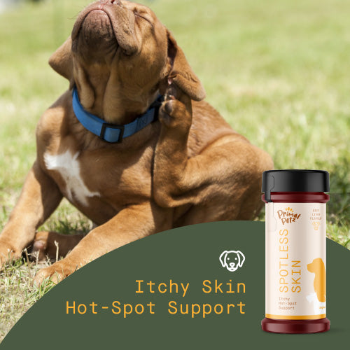 Itchy Skin Beef Liver Meal Topper